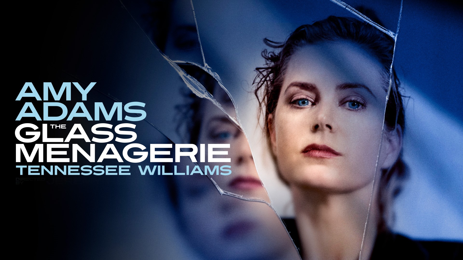 The Glass Menagerie Official Box Office Duke of York's Theatre